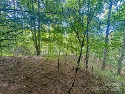 Tbd Old Anderson Quarry Road Vilas NC 28692