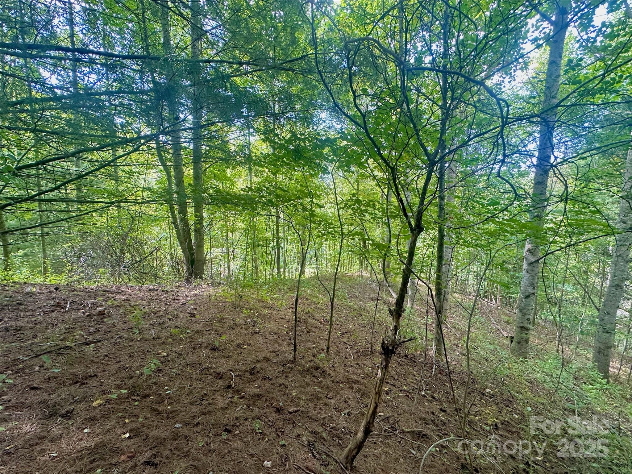 Tbd Old Anderson Quarry Road Vilas NC 28692