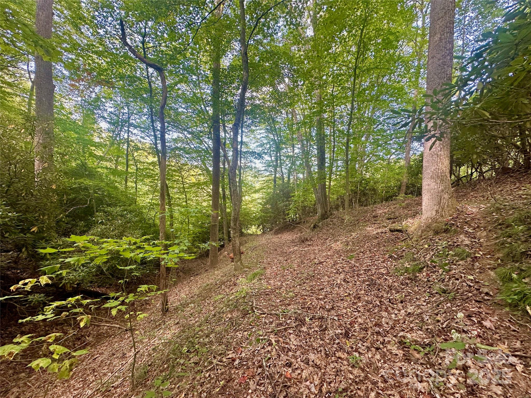 Tbd Old Anderson Quarry Road Vilas NC 28692
