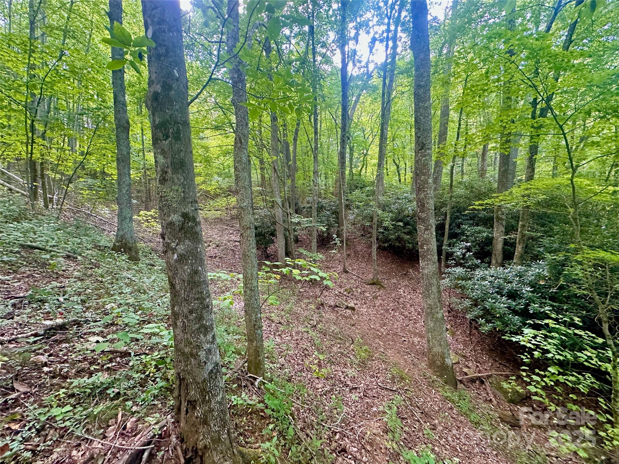 Tbd Old Anderson Quarry Road Vilas NC 28692