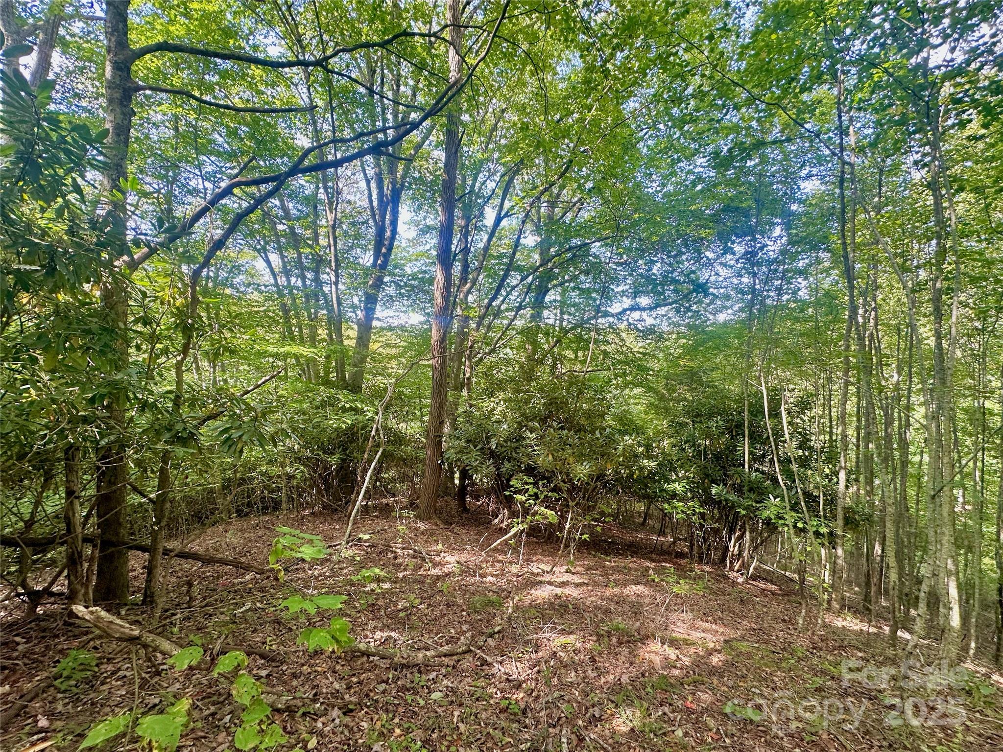Tbd Old Anderson Quarry Road Vilas NC 28692