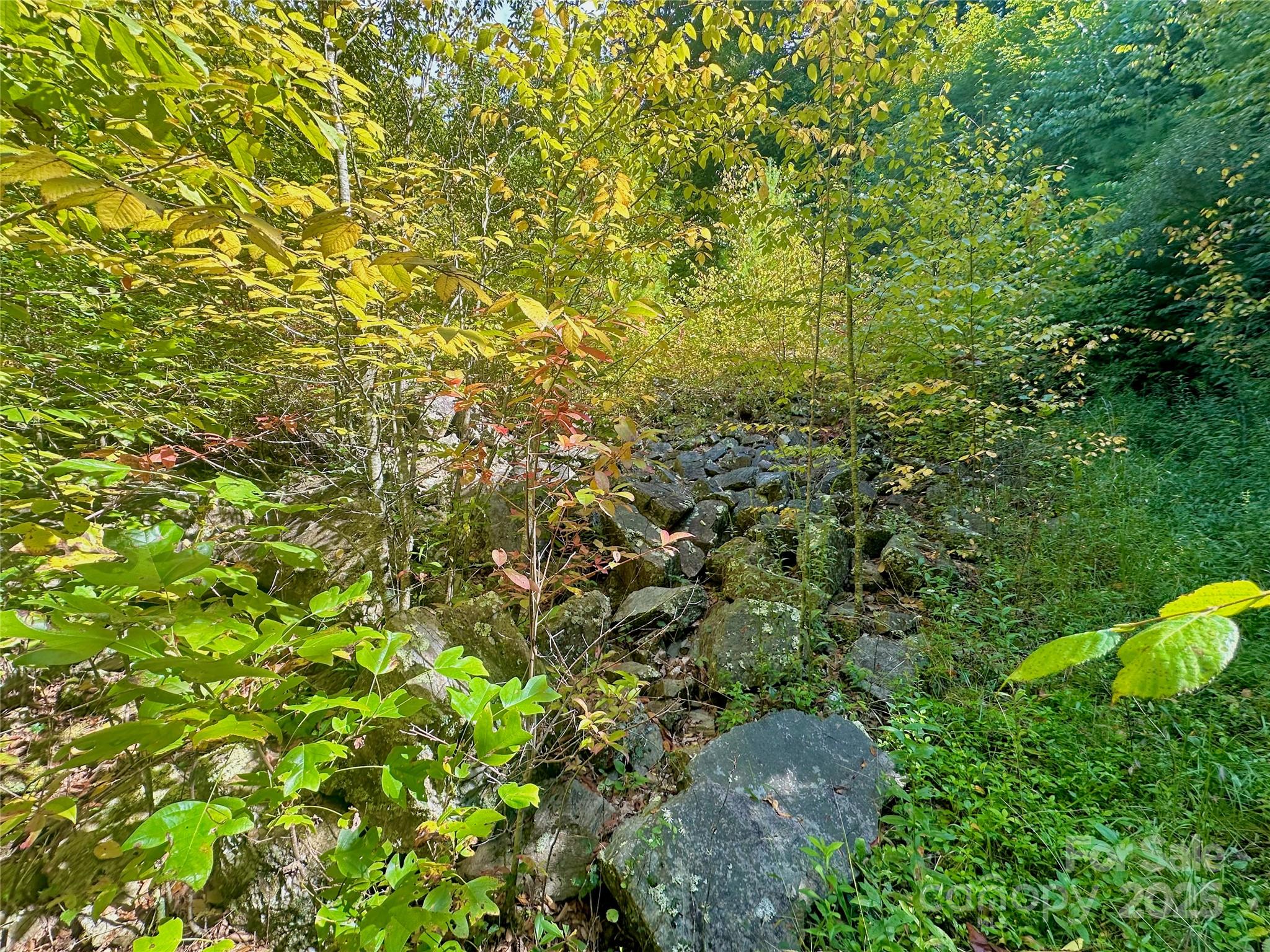 Tbd Old Anderson Quarry Road Vilas NC 28692