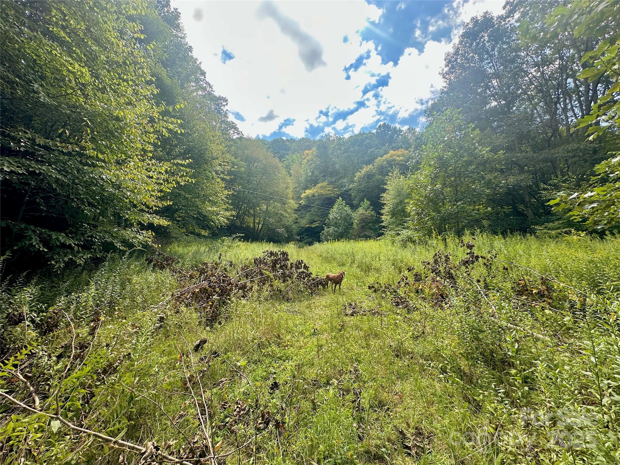 Tbd Old Anderson Quarry Road Vilas NC 28692