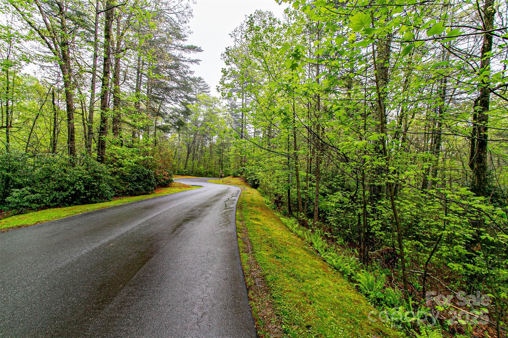 Tbd High Hemlock Trail Brevard NC 28712