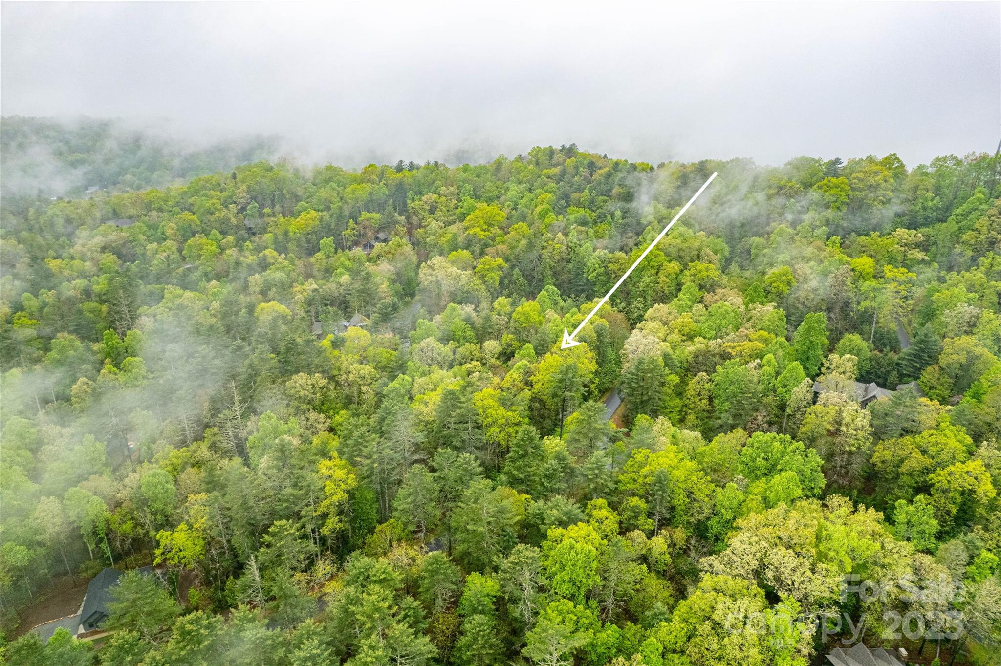 Tbd High Hemlock Trail Brevard NC 28712
