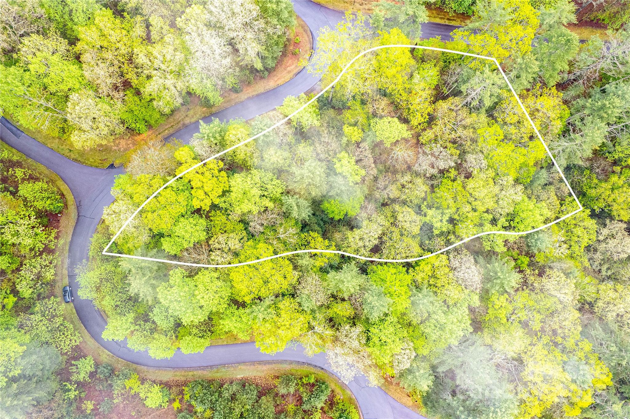 Tbd High Hemlock Trail Brevard NC 28712