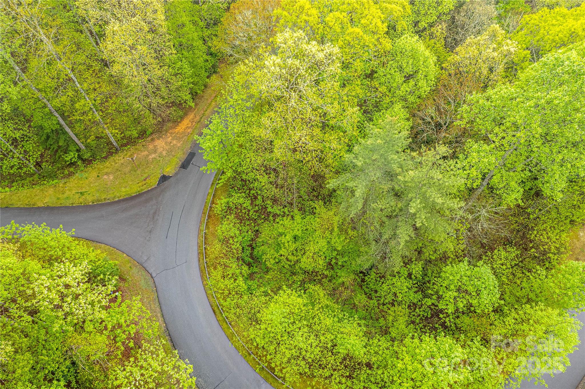 Tbd High Hemlock Trail Brevard NC 28712