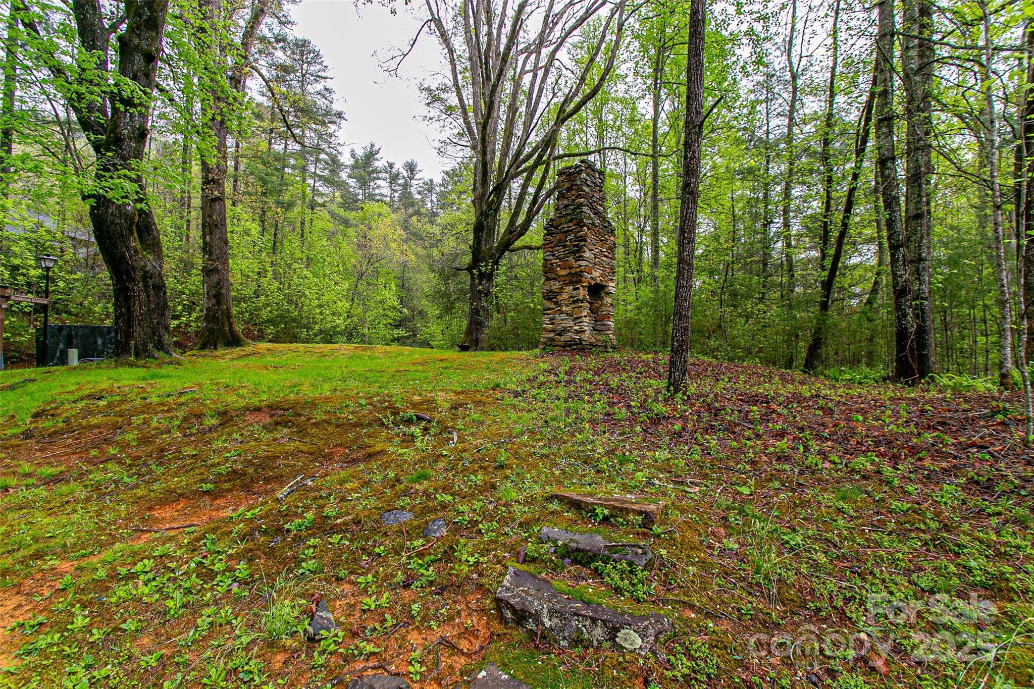 Tbd High Hemlock Trail Brevard NC 28712