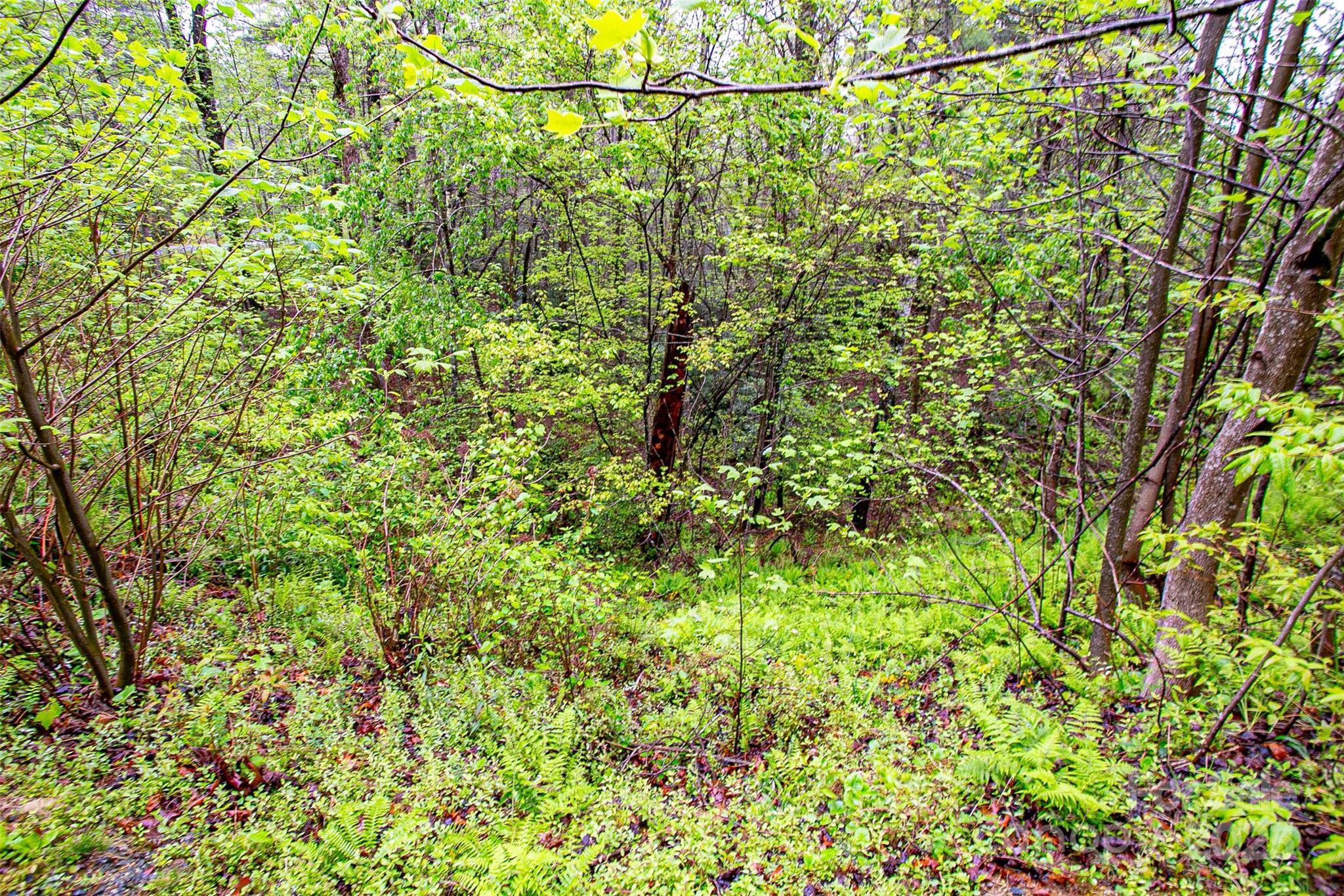 Tbd High Hemlock Trail Brevard NC 28712