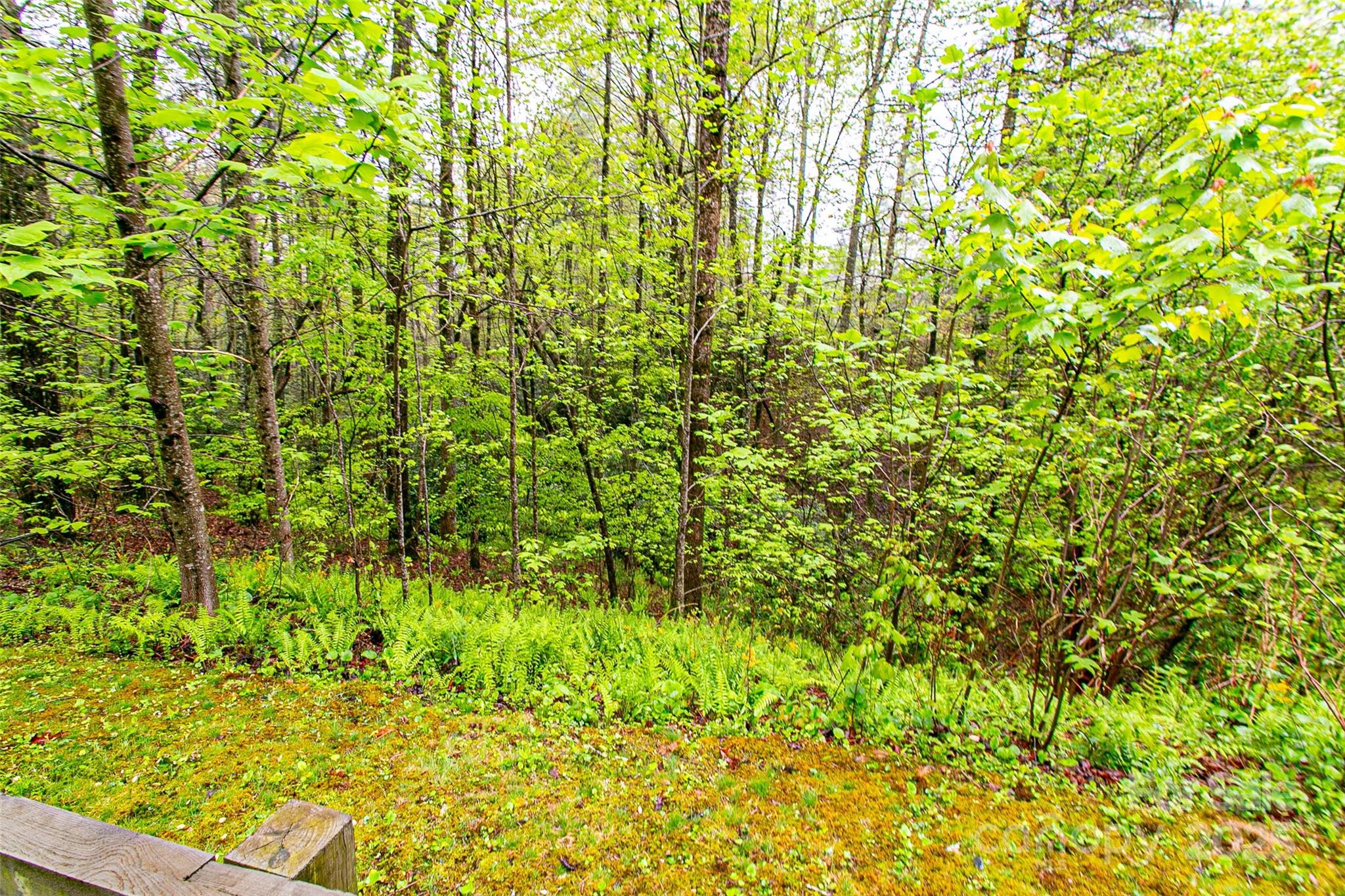 Tbd High Hemlock Trail Brevard NC 28712