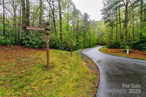 Tbd High Hemlock Trail Brevard NC 28712