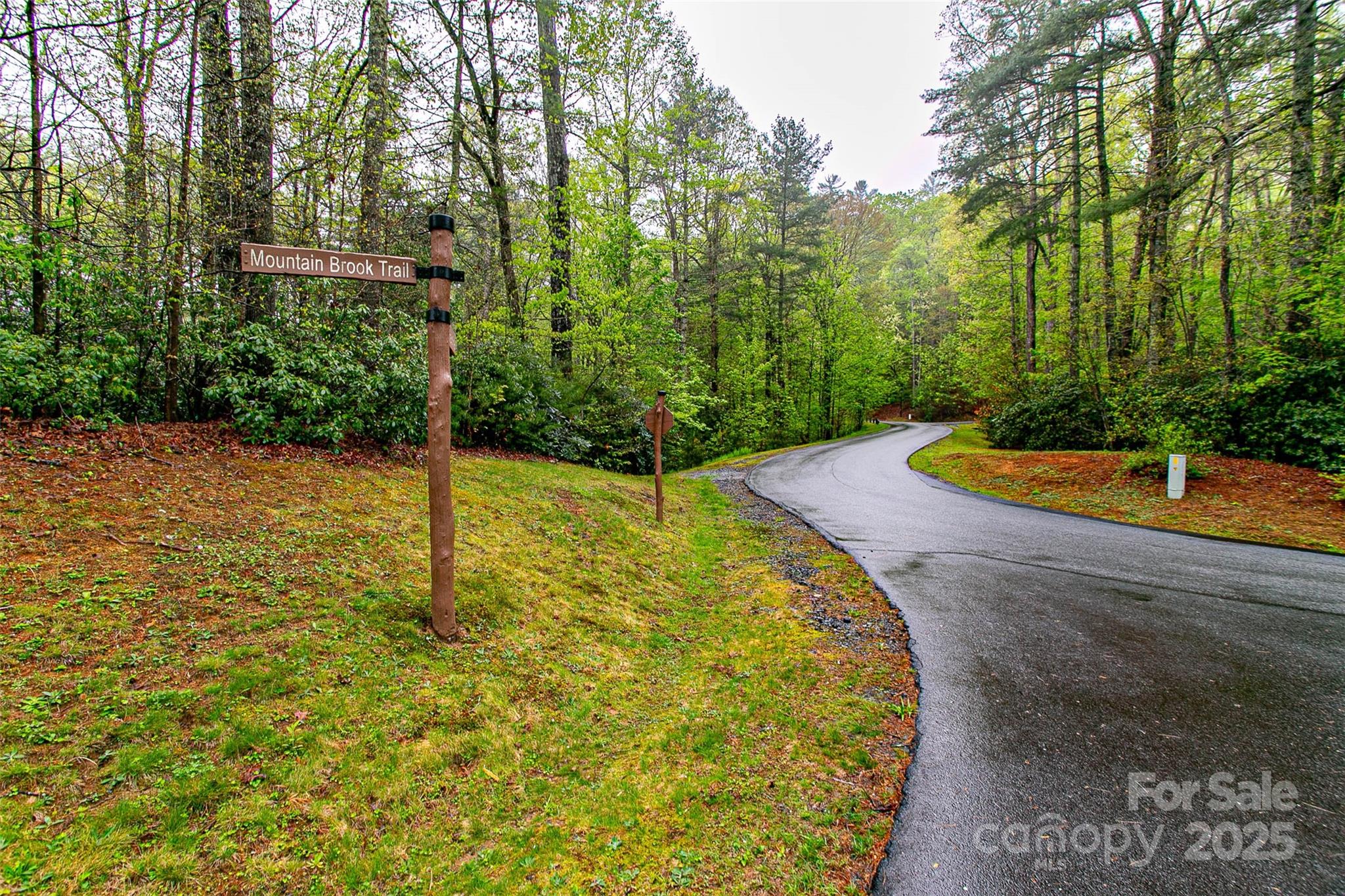 Tbd High Hemlock Trail Brevard NC 28712