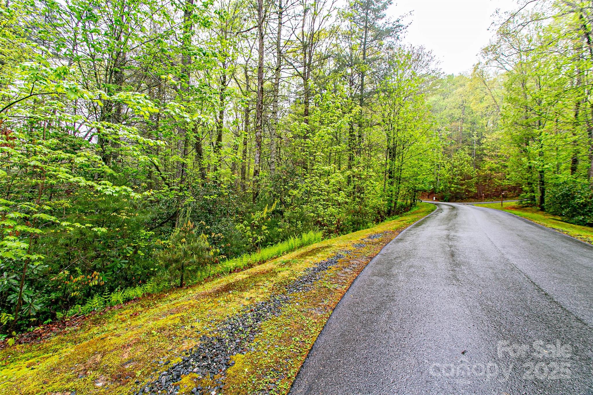 Tbd High Hemlock Trail Brevard NC 28712