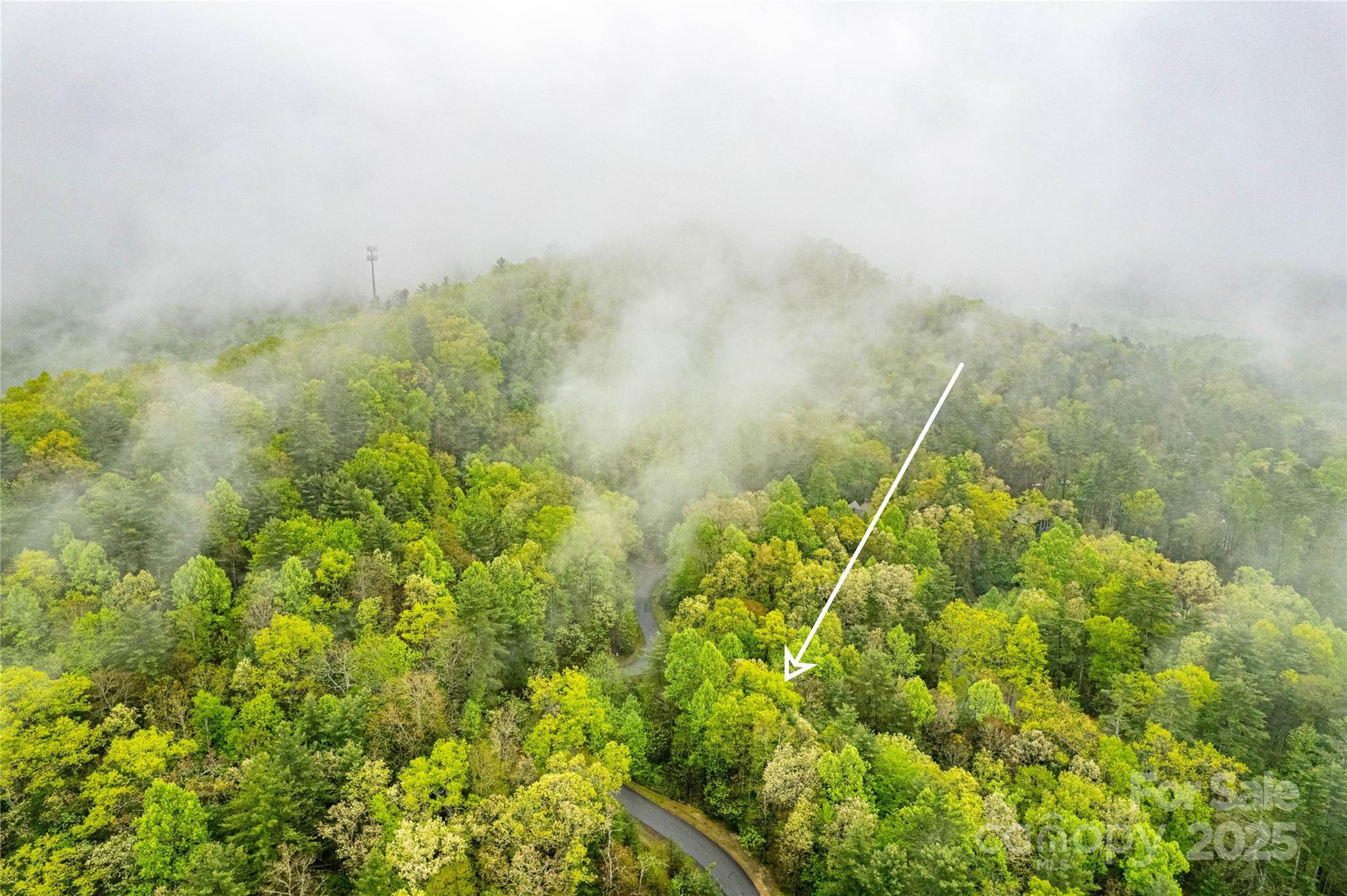 Tbd High Hemlock Trail Brevard NC 28712