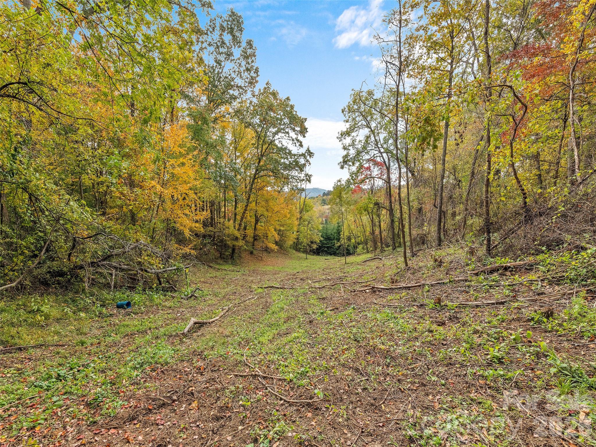 00 Beaverdam Road Canton NC 28716