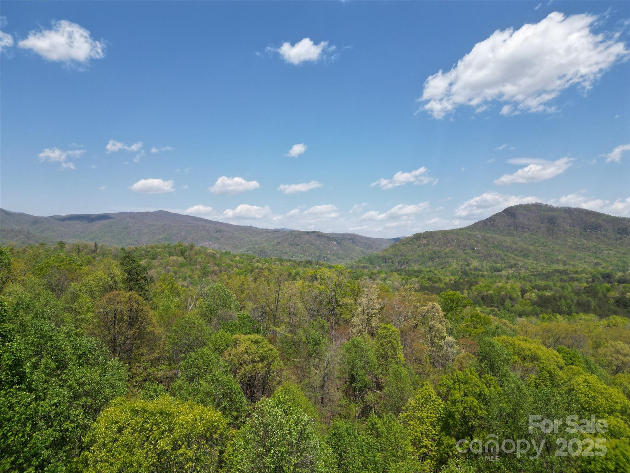 Lot 36 Turkey Fall Lane Lake Lure NC 28746
