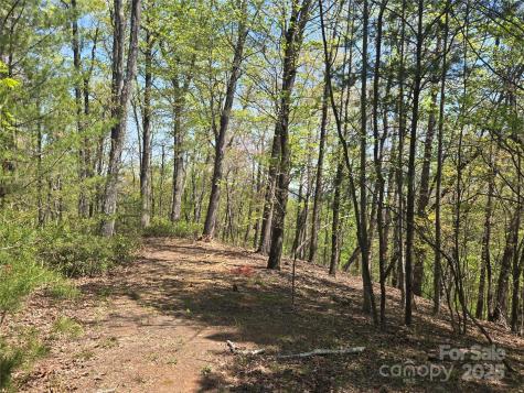 Lot 36 Turkey Fall Lane Lake Lure NC 28746