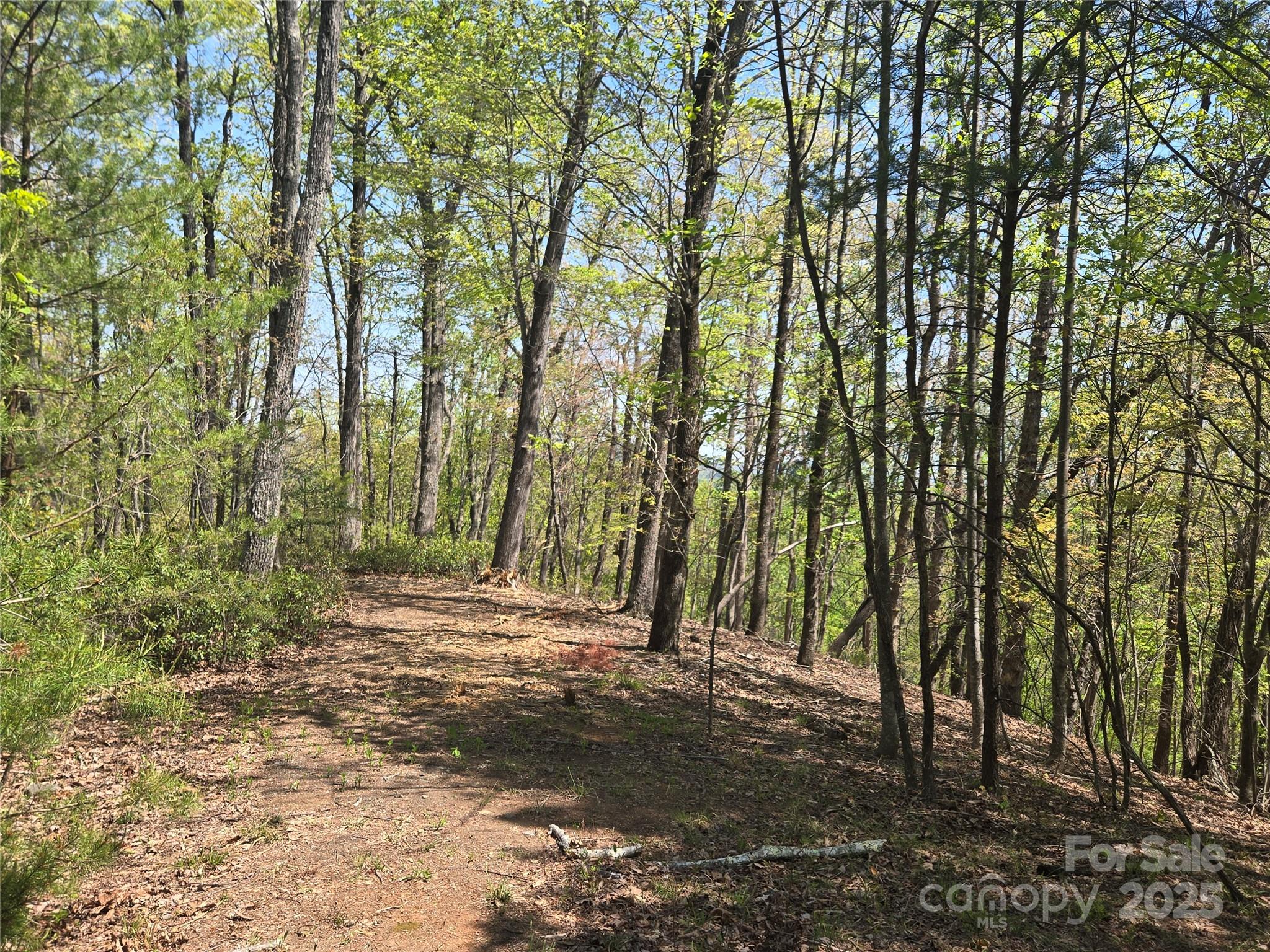 Lot 36 Turkey Fall Lane Lake Lure NC 28746