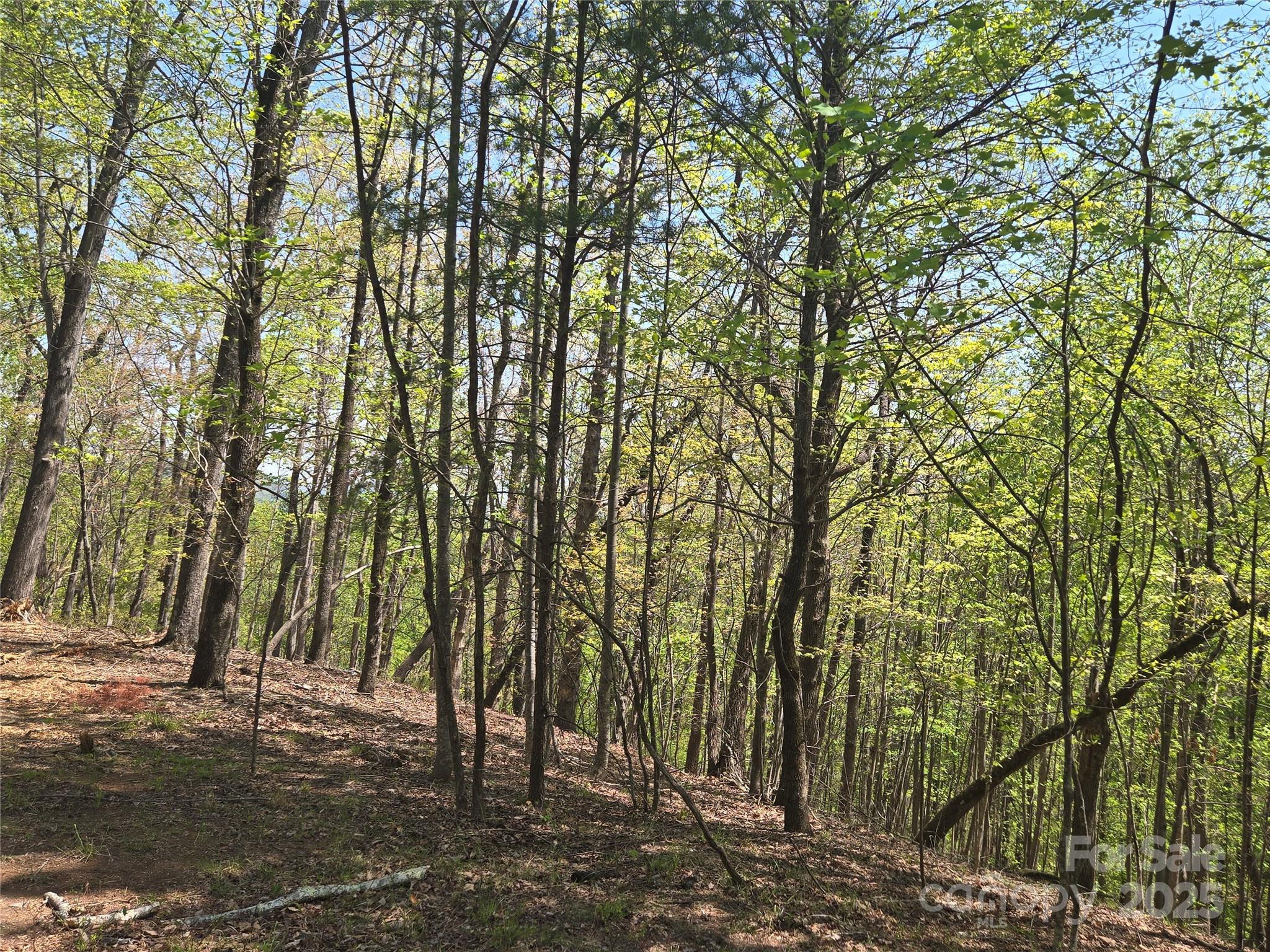Lot 36 Turkey Fall Lane Lake Lure NC 28746