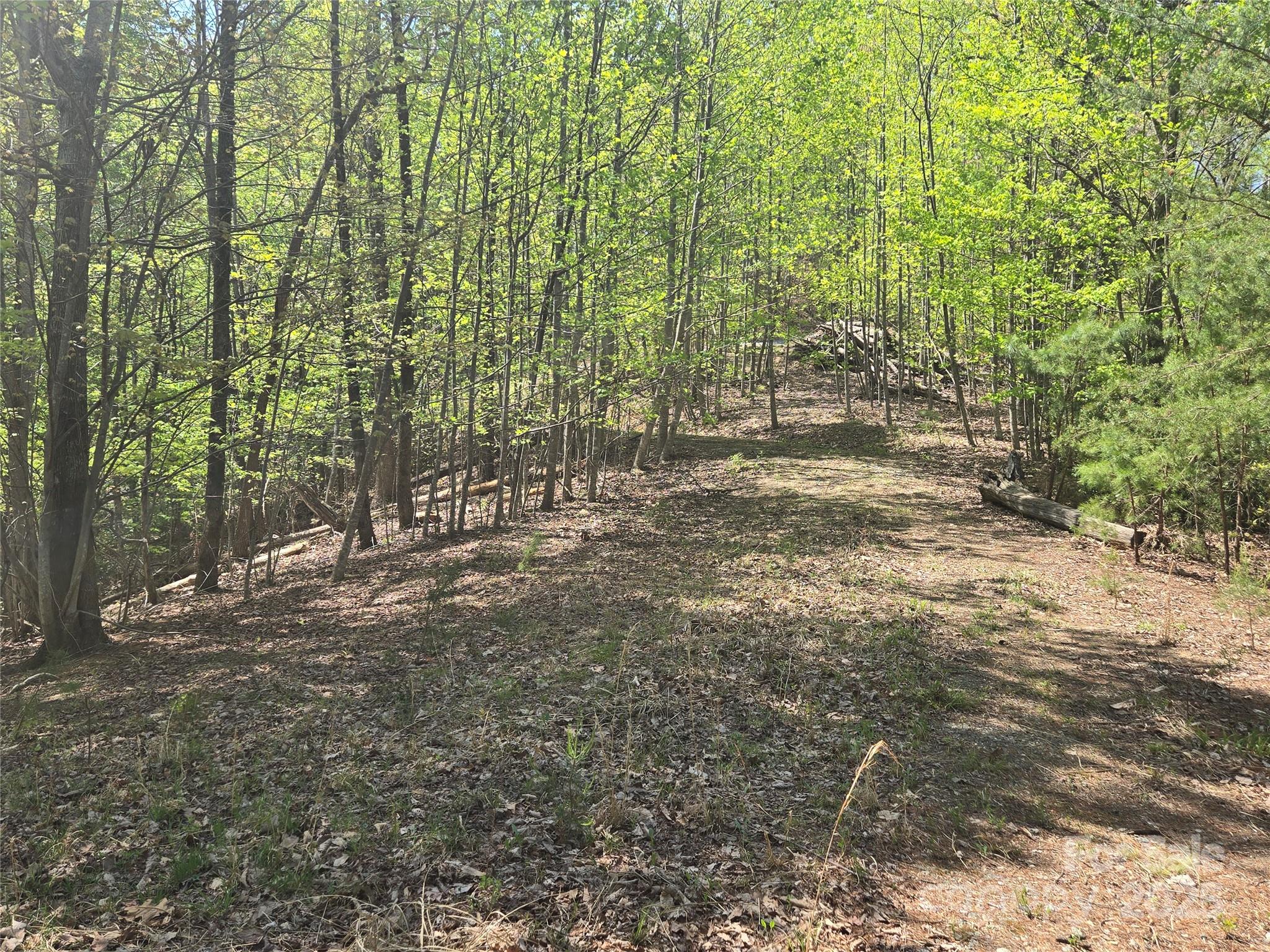 Lot 36 Turkey Fall Lane Lake Lure NC 28746