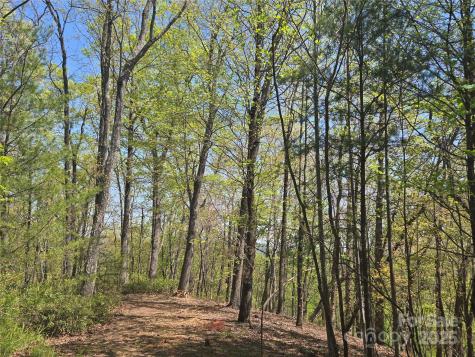 Lot 36 Turkey Fall Lane Lake Lure NC 28746