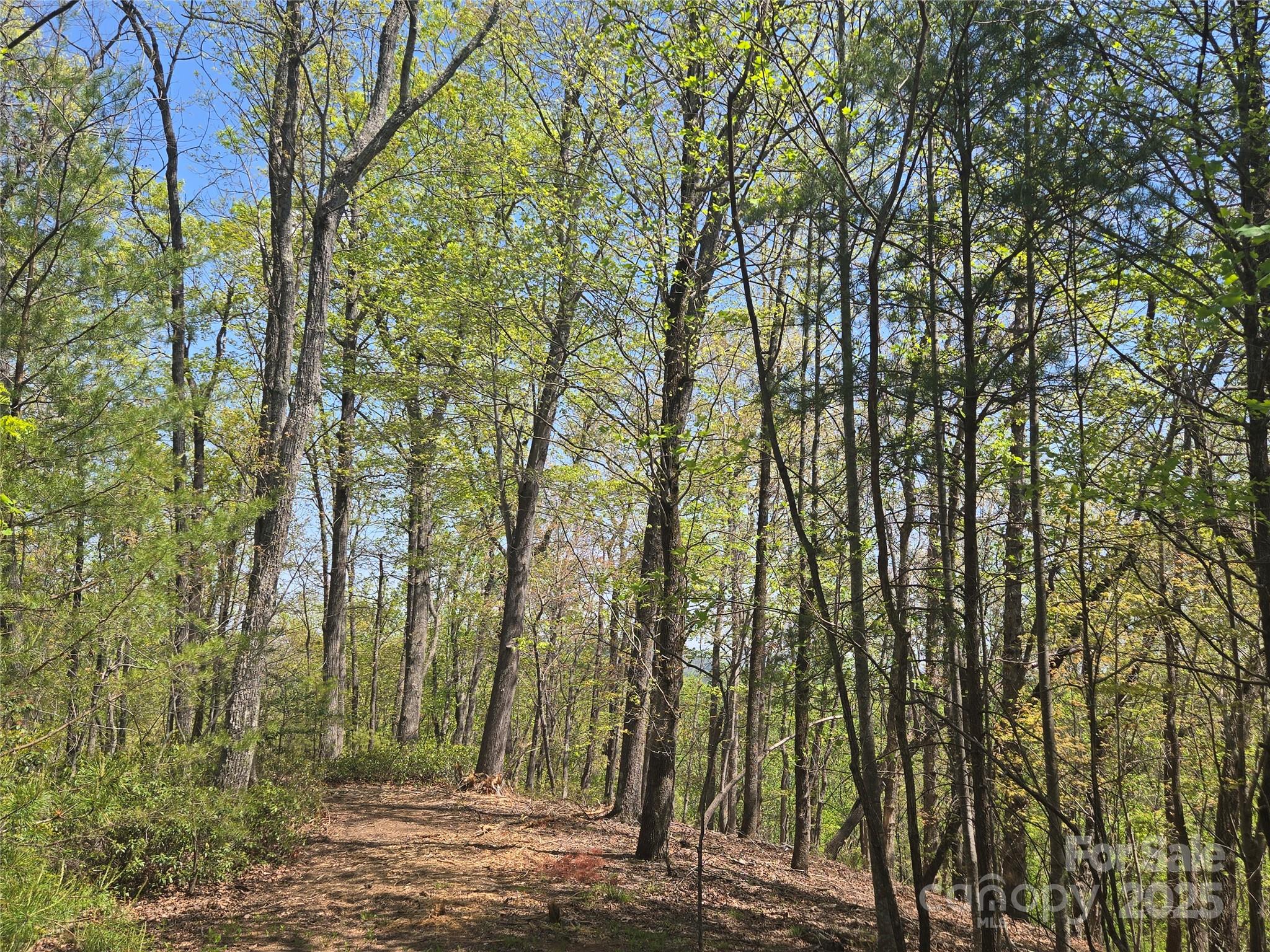 Lot 36 Turkey Fall Lane Lake Lure NC 28746