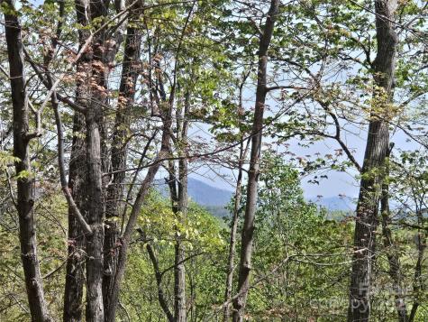 Lot 36 Turkey Fall Lane Lake Lure NC 28746