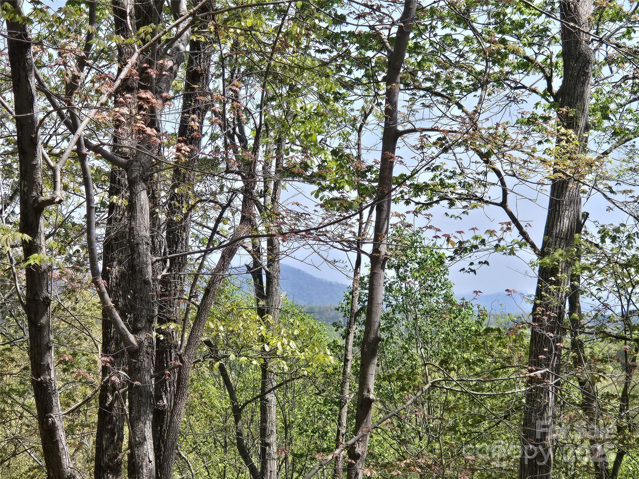 Lot 36 Turkey Fall Lane Lake Lure NC 28746
