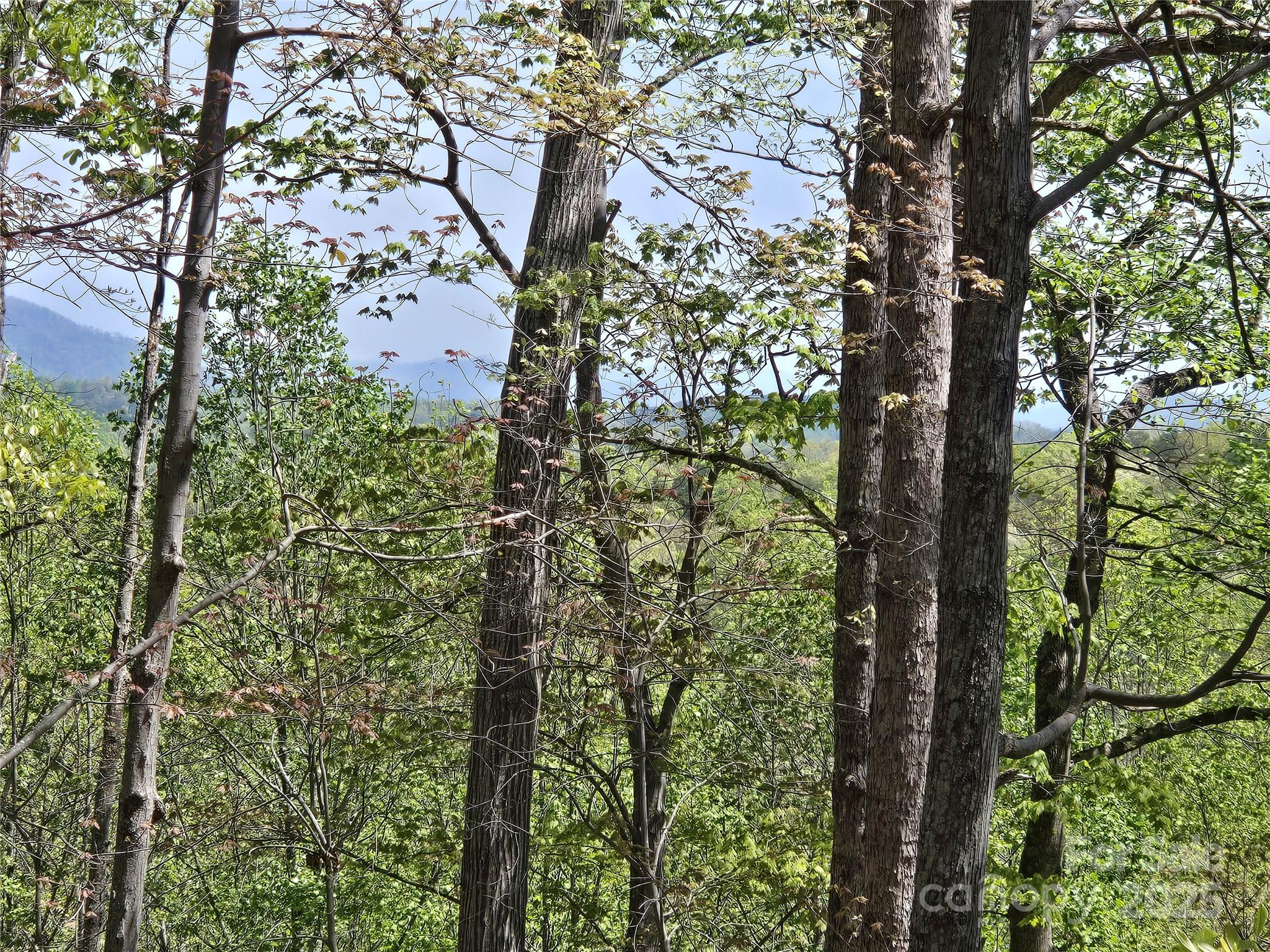 Lot 36 Turkey Fall Lane Lake Lure NC 28746