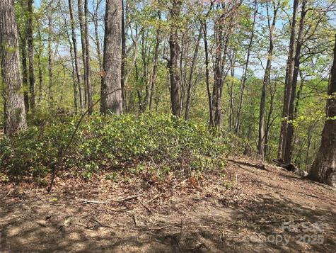 Lot 36 Turkey Fall Lane Lake Lure NC 28746