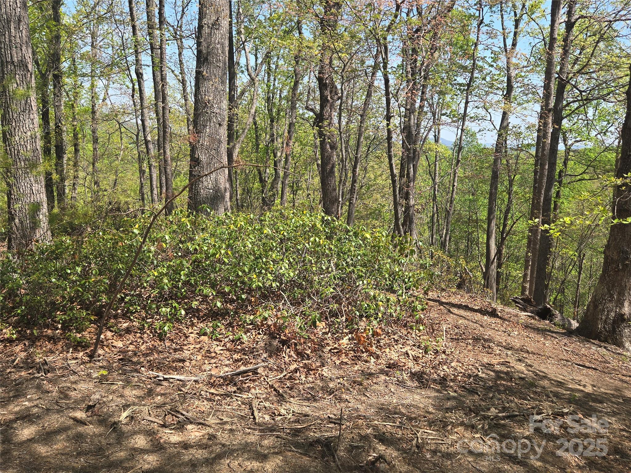 Lot 36 Turkey Fall Lane Lake Lure NC 28746