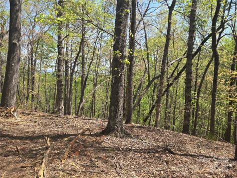 Lot 36 Turkey Fall Lane Lake Lure NC 28746