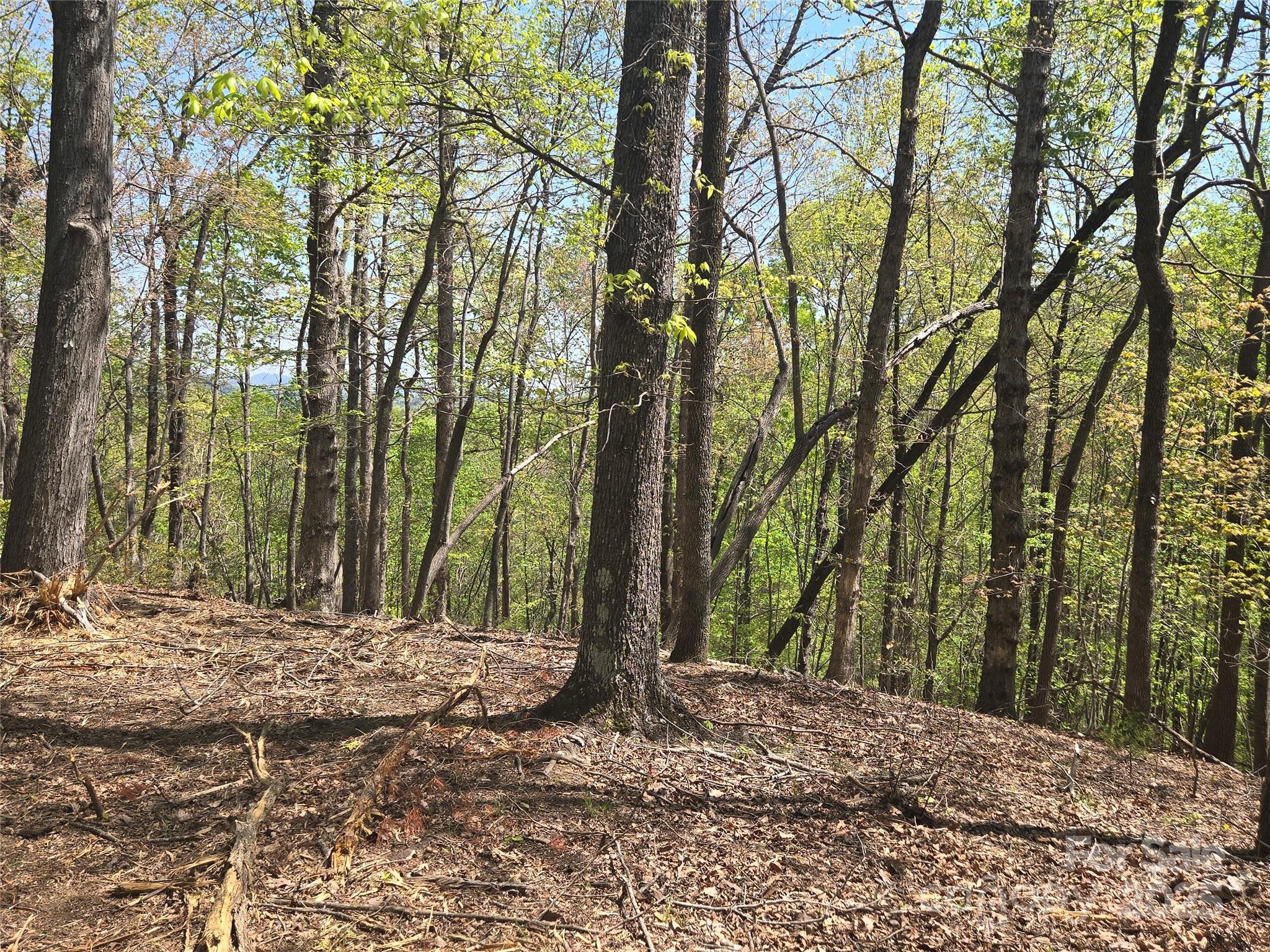 Lot 36 Turkey Fall Lane Lake Lure NC 28746