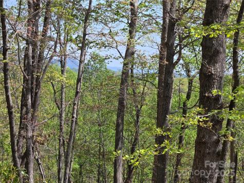 Lot 36 Turkey Fall Lane Lake Lure NC 28746