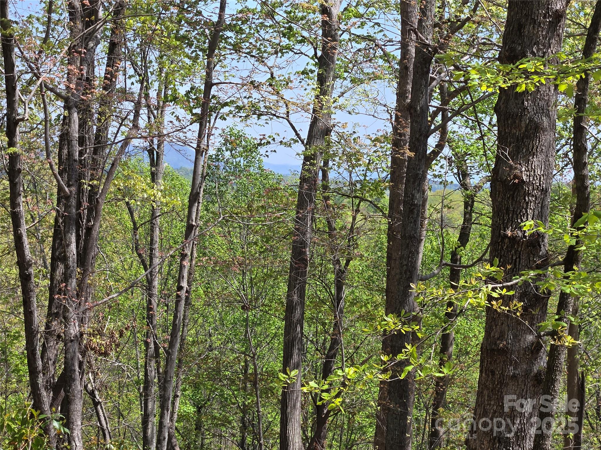 Lot 36 Turkey Fall Lane Lake Lure NC 28746
