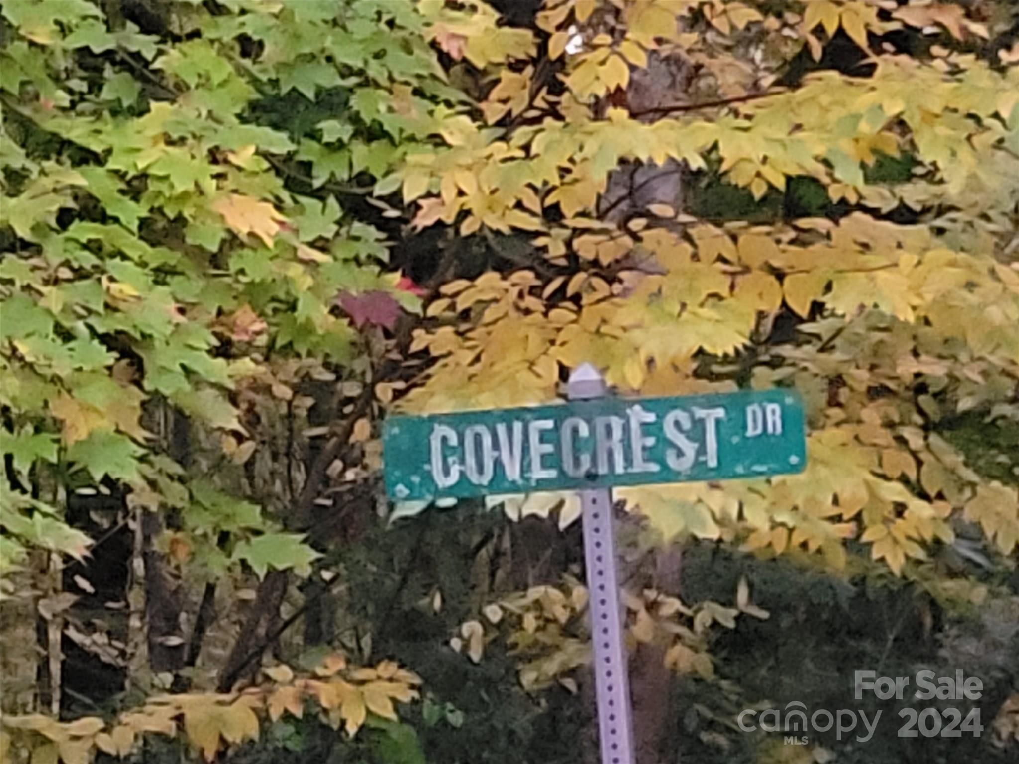 00 Covecrest Lane Maggie Valley NC 28751