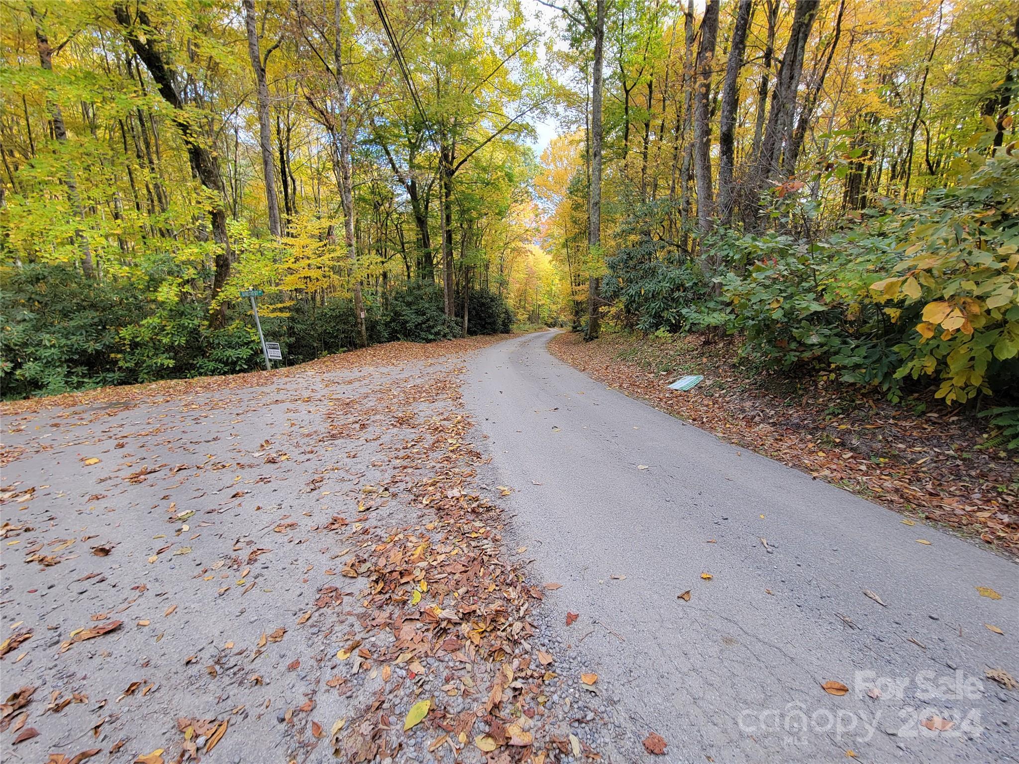 00 Covecrest Lane Maggie Valley NC 28751