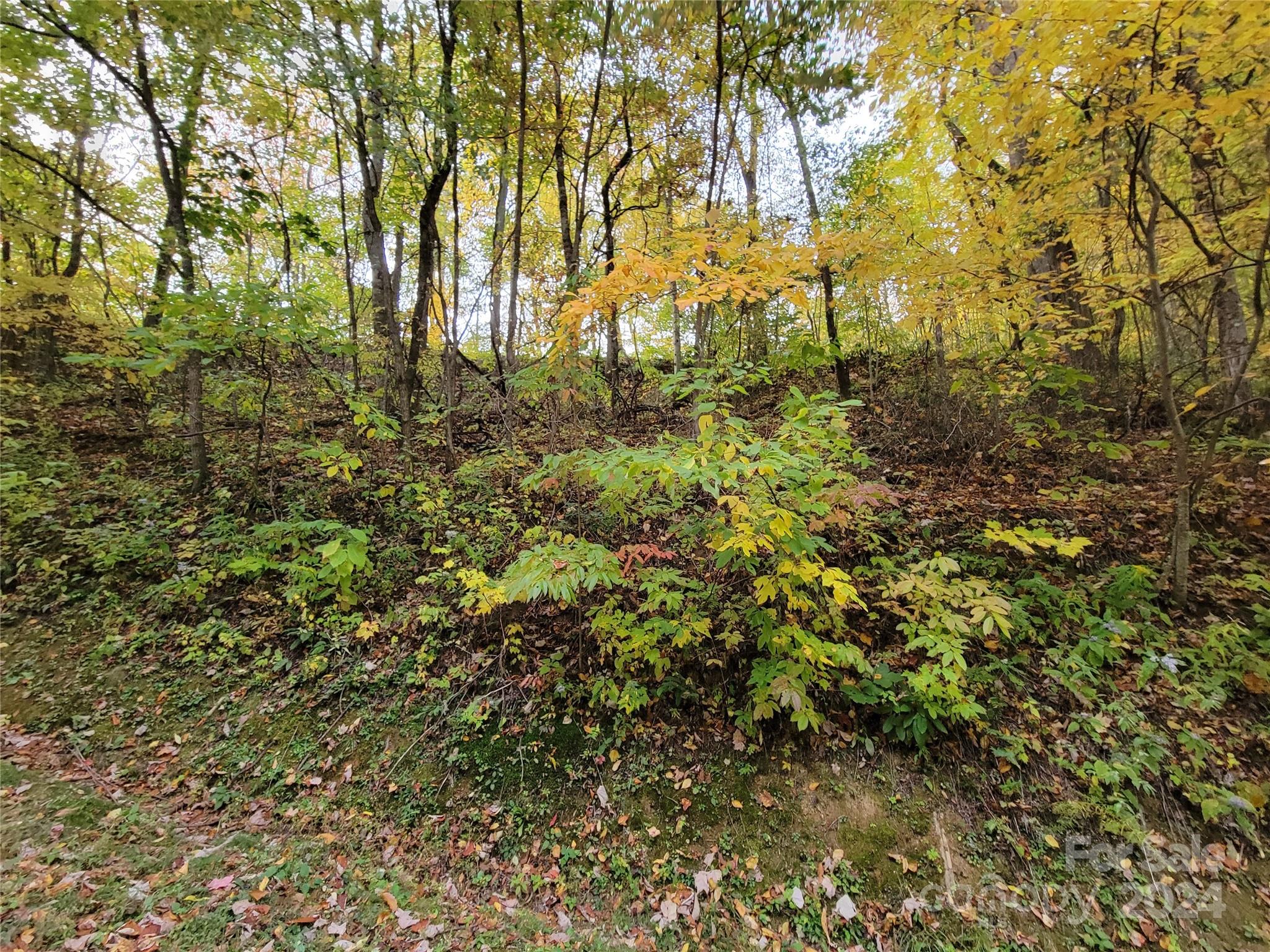 00 Covecrest Lane Maggie Valley NC 28751