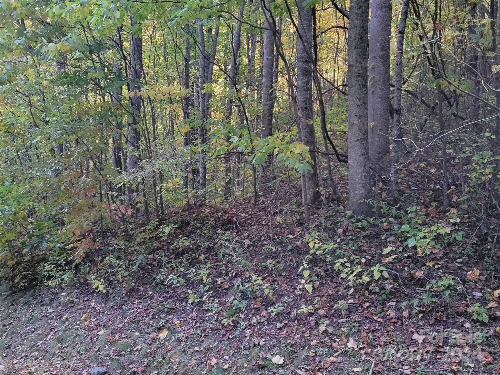 00 Covecrest Lane Maggie Valley NC 28751