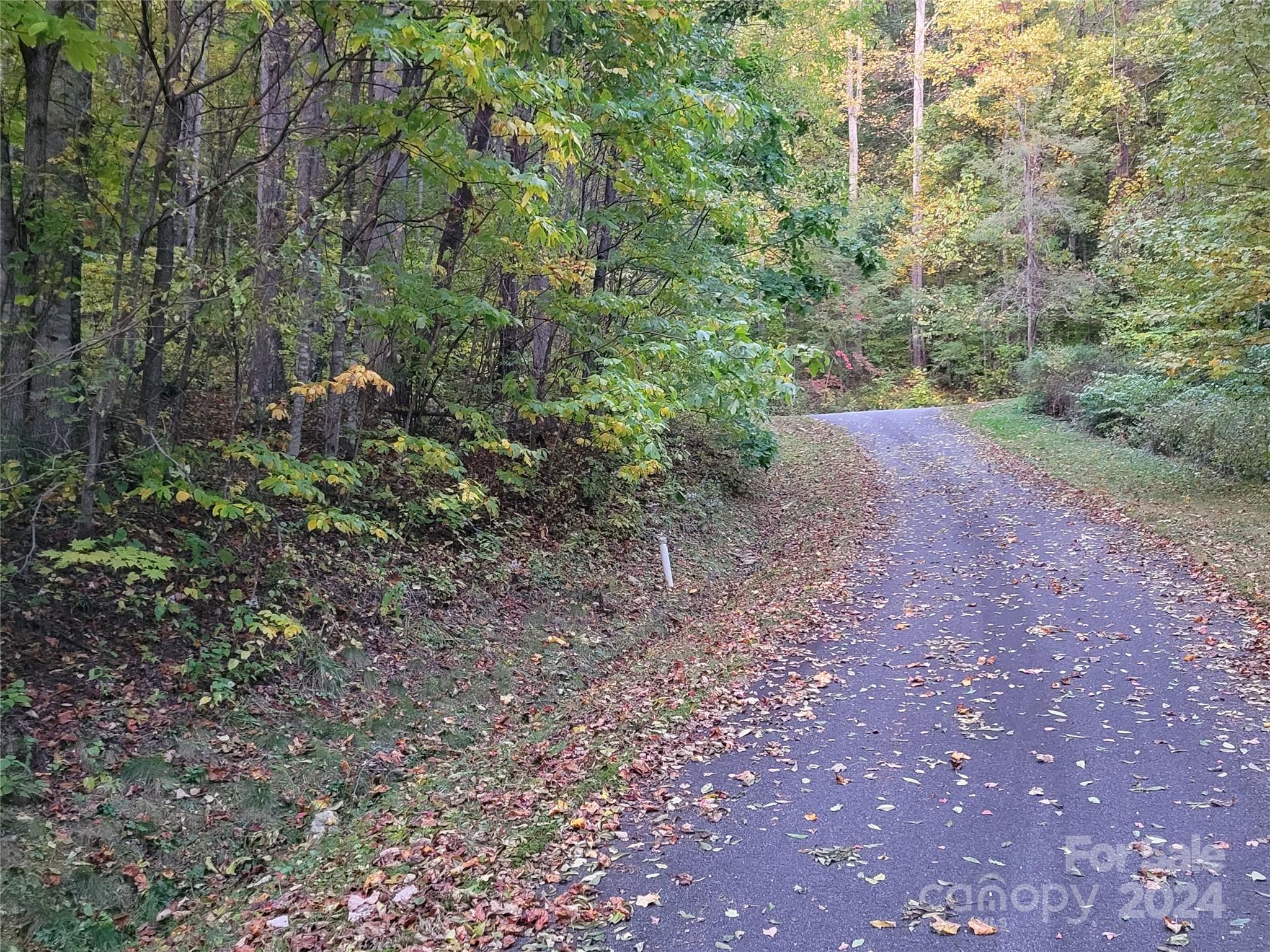 00 Covecrest Lane Maggie Valley NC 28751