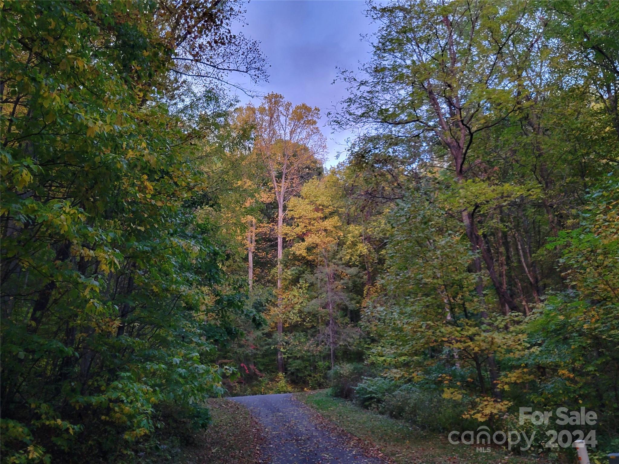 00 Covecrest Lane Maggie Valley NC 28751