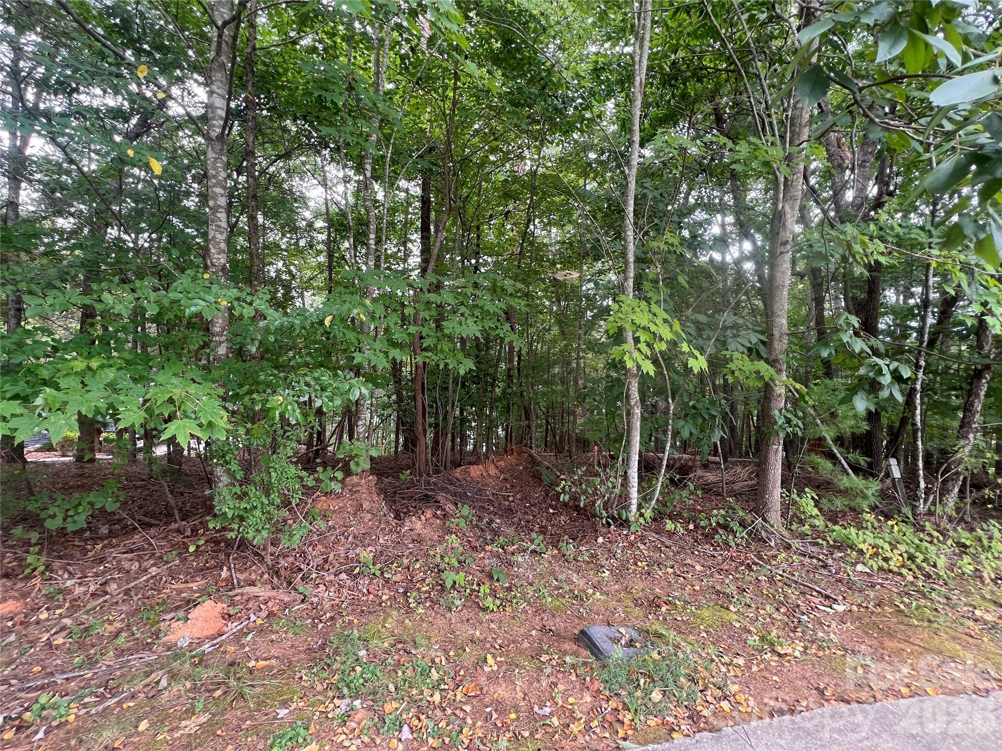 1600 Lillians Point Court Morganton NC 28655