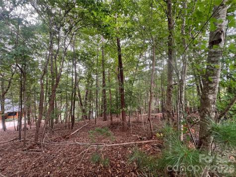 1600 Lillians Point Court Morganton NC 28655