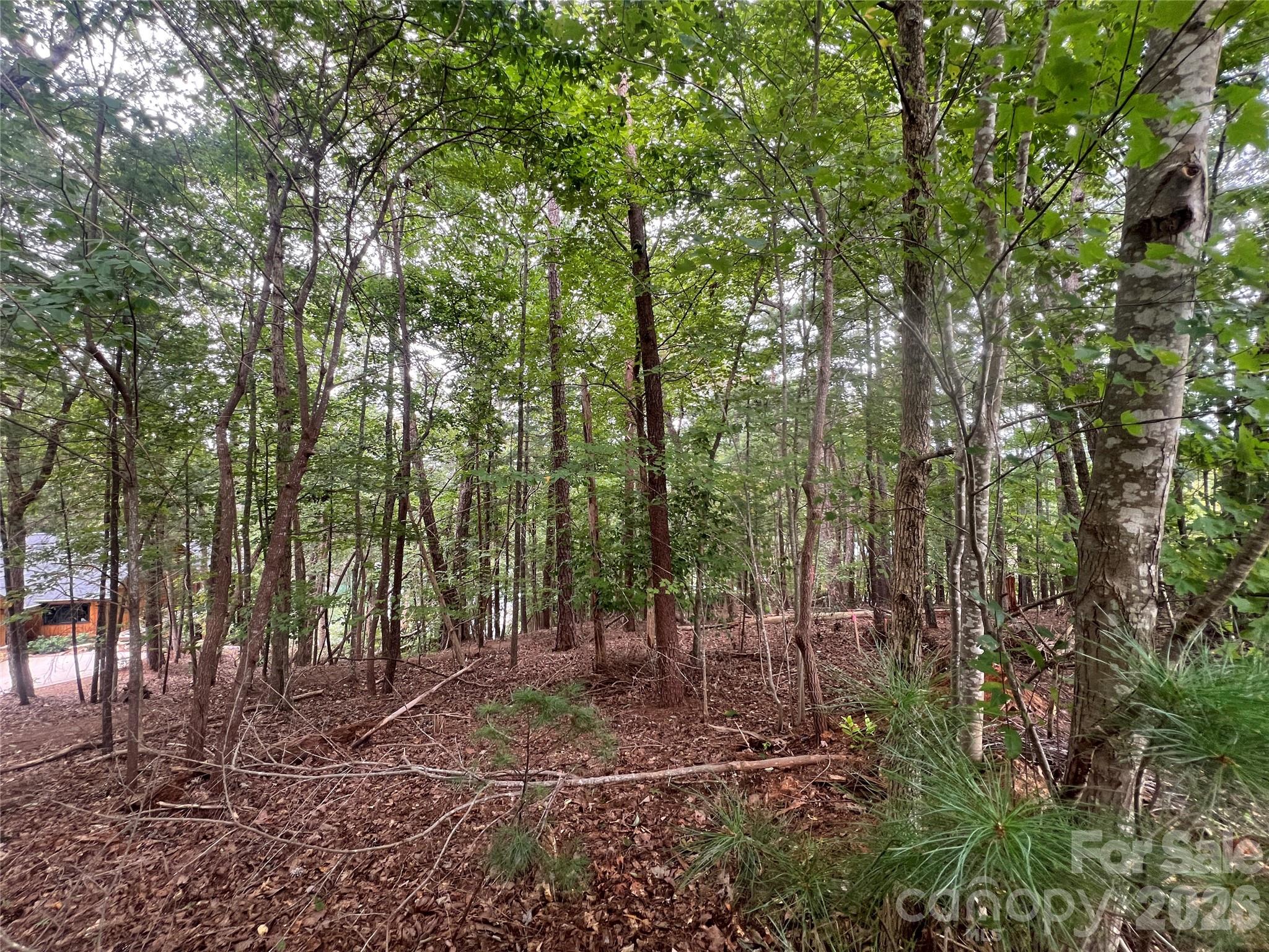 1600 Lillians Point Court Morganton NC 28655