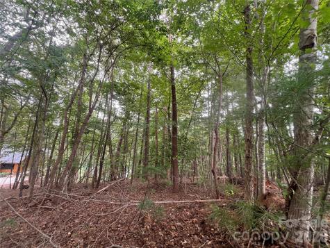 1600 Lillians Point Court Morganton NC 28655
