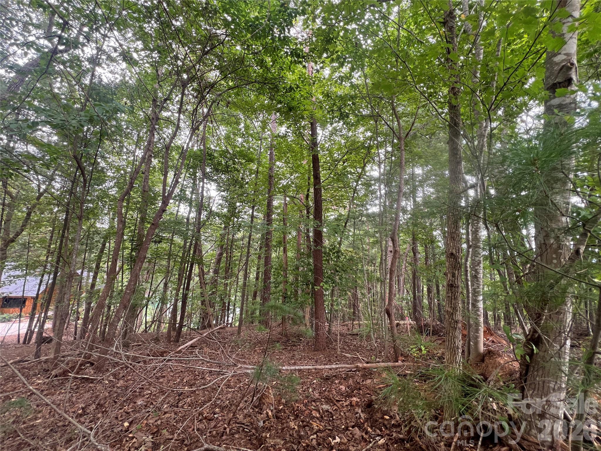1600 Lillians Point Court Morganton NC 28655