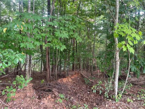 1600 Lillians Point Court Morganton NC 28655
