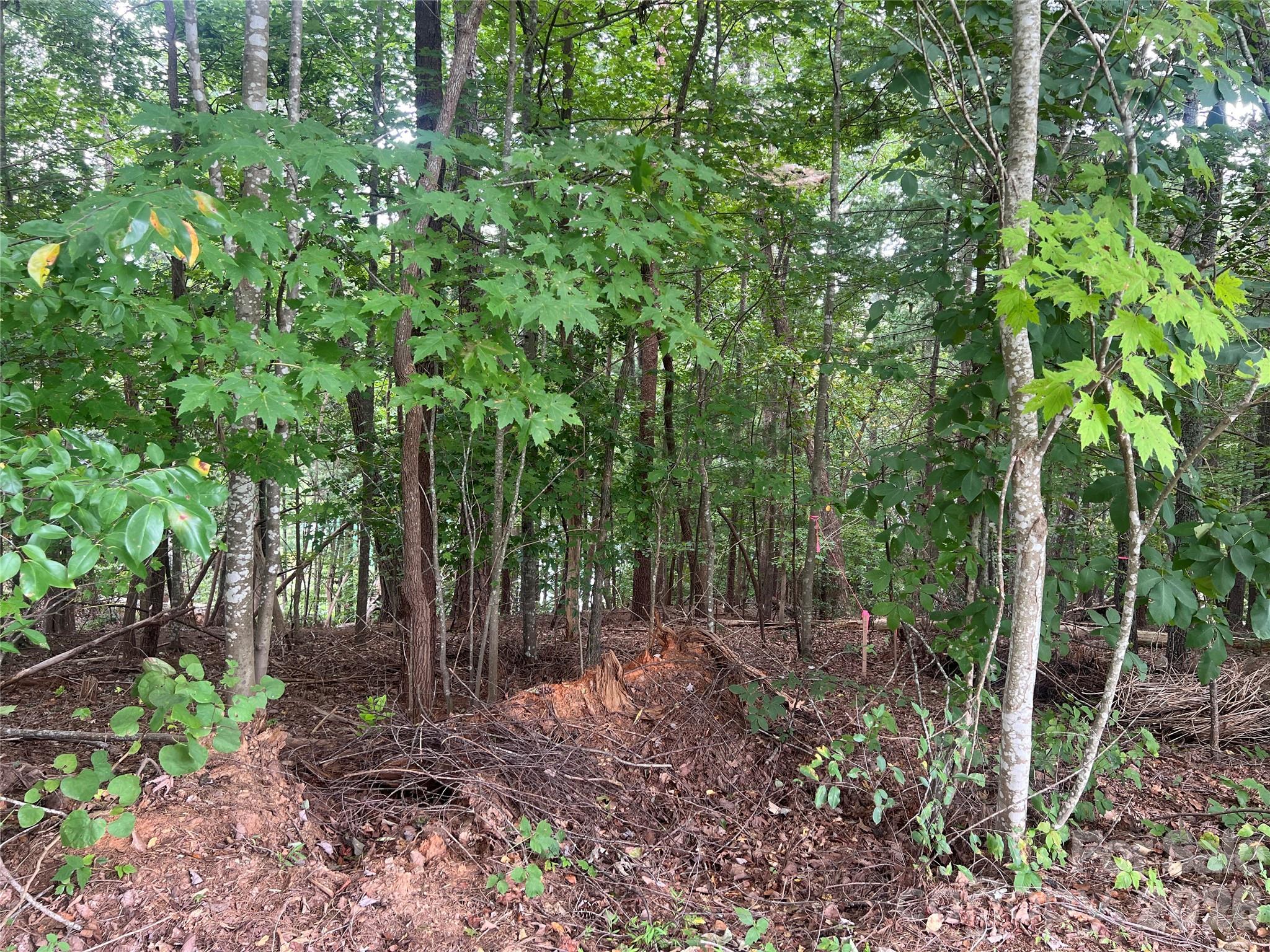 1600 Lillians Point Court Morganton NC 28655