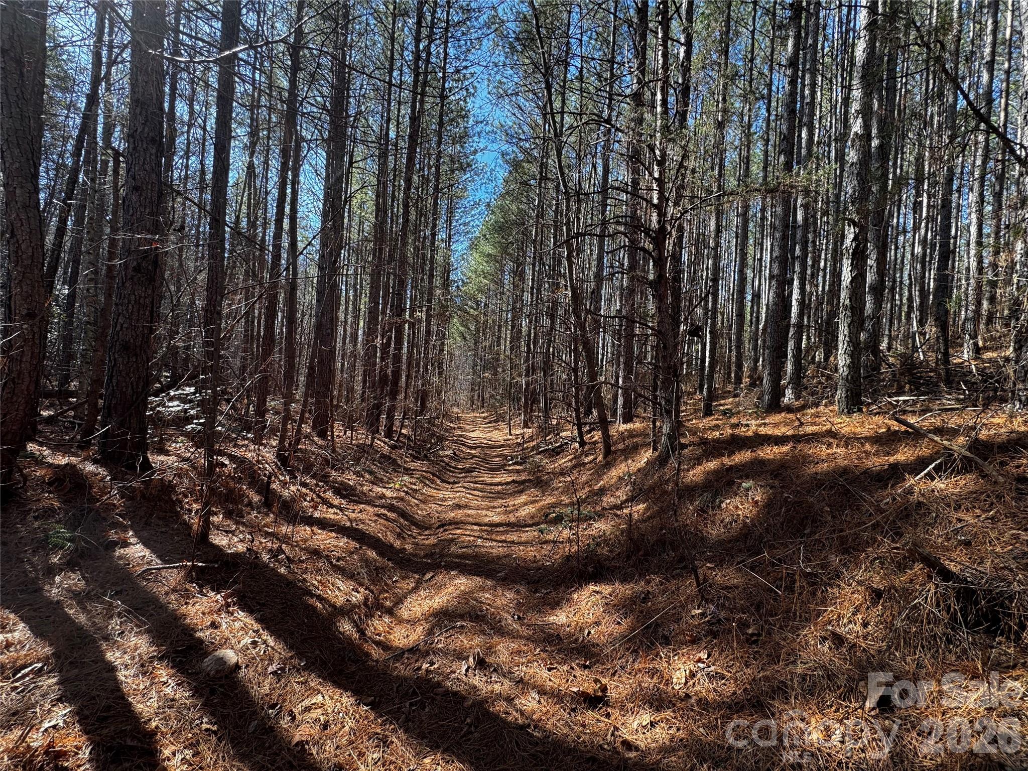 0 Painters Gap Road Union Mills NC 28167