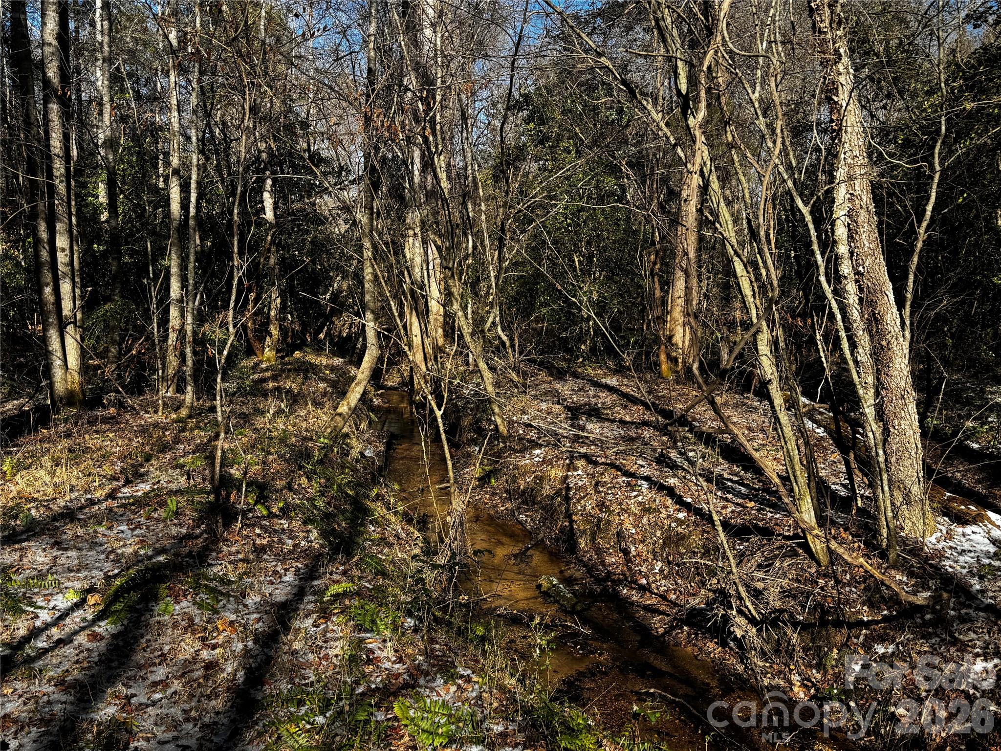0 Painters Gap Road Union Mills NC 28167